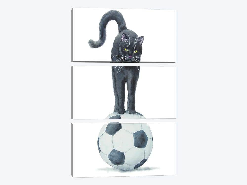 Football Black Cat by Alexey Dmitrievich Shmyrov 3-piece Canvas Print