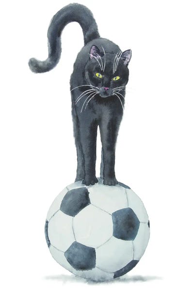 Kids Sports Art: Football Black Cat by Alexey Dmitrievich Shmyrov