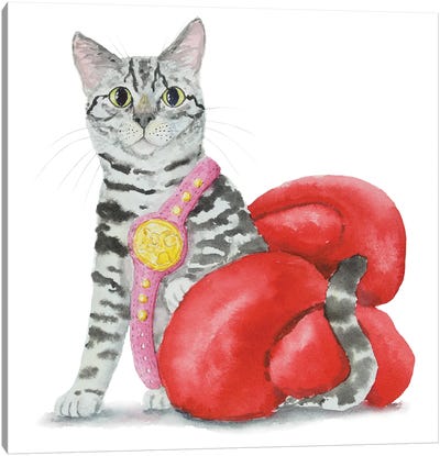 Boxer Gray Tabby Cat Canvas Art Print - Boxing Art