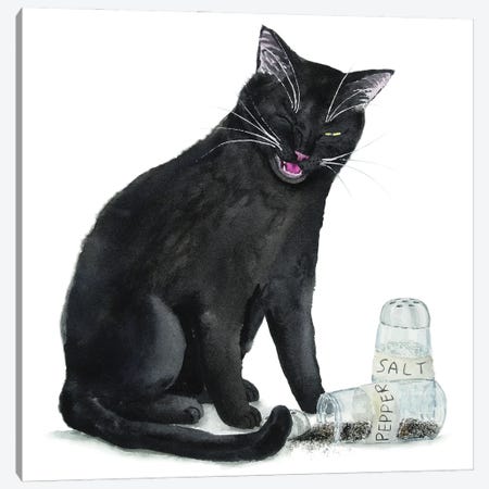 Black Cat And Salt And Pepper Canvas Print #AXS147} by Alexey Dmitrievich Shmyrov Canvas Art