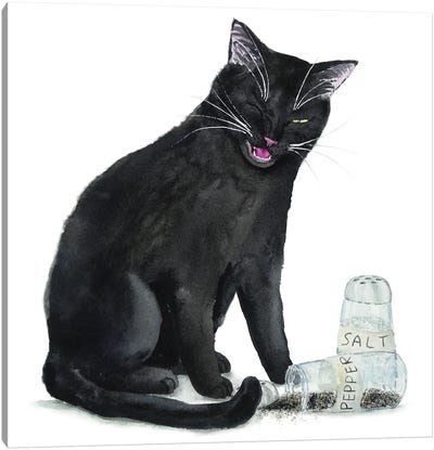 Black Cat And Salt And Pepper Canvas Art Print - Alexey Dmitrievich Shmyrov
