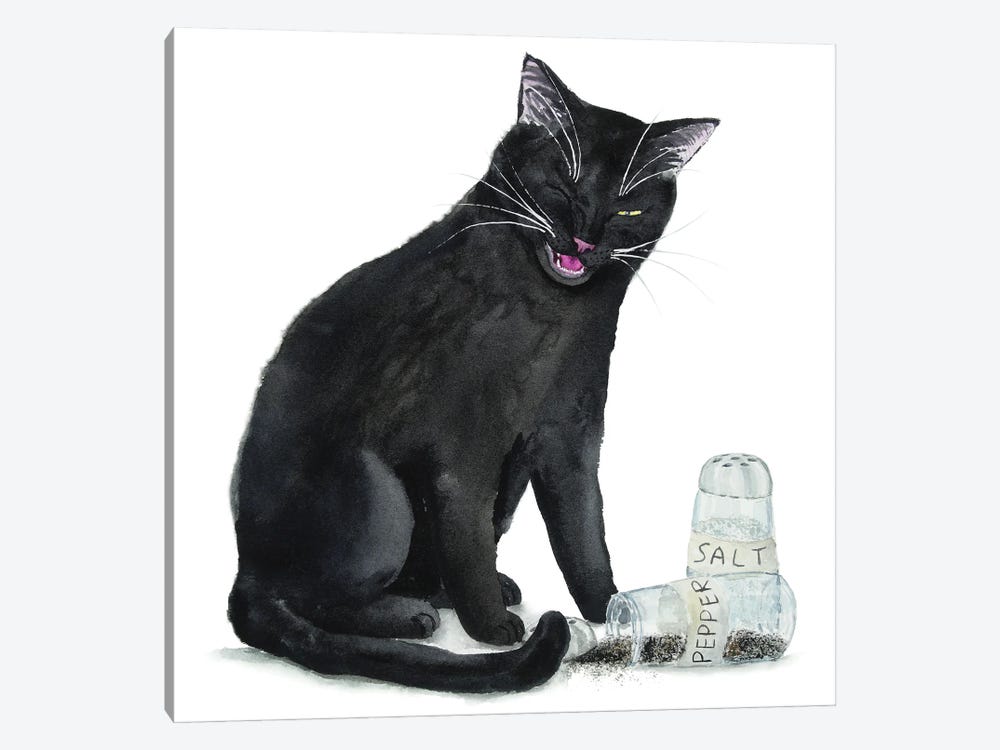 Black Cat And Salt And Pepper by Alexey Dmitrievich Shmyrov 1-piece Canvas Art Print