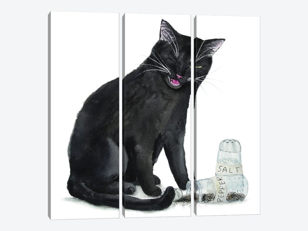 Black Cat And Salt And Pepper by Alexey Dmitrievich Shmyrov 3-piece Canvas Print