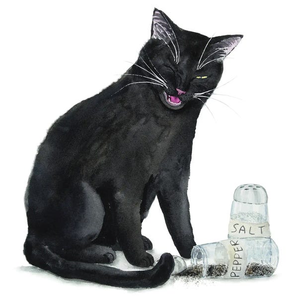 Black Cat And Salt And Pepper