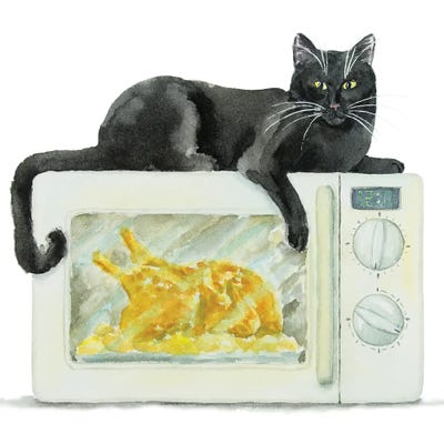 Black Cat On The Microwave by Alexey Dmitrievich Shmyrov framed canvas print