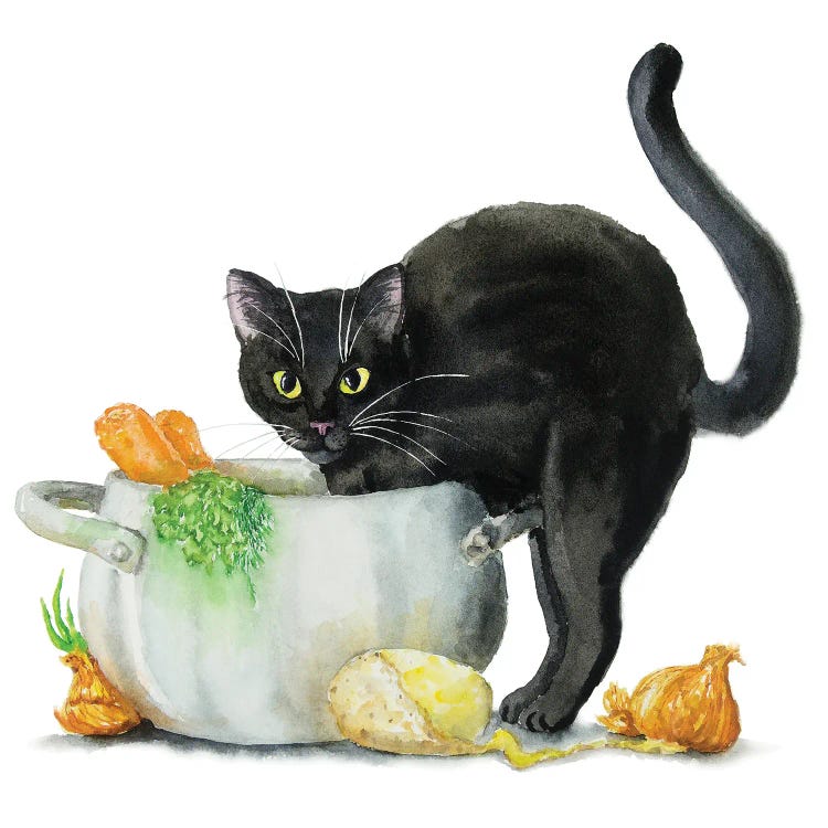 Cooking Black Cat