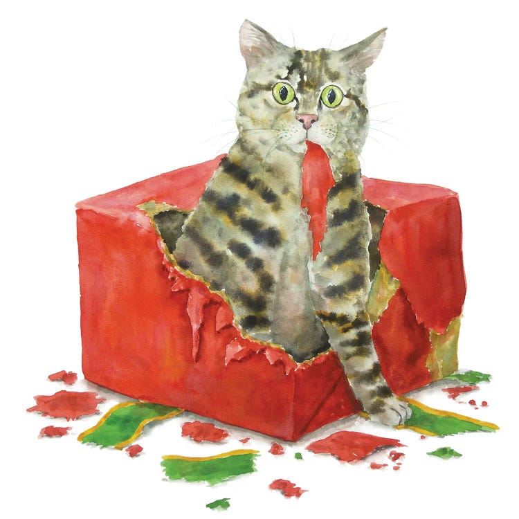 Christmas Tabby Cat