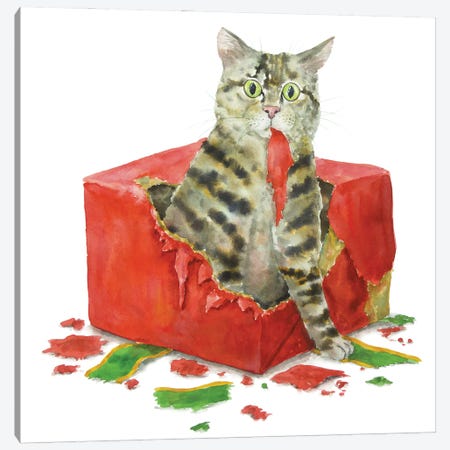 Christmas Tabby Cat Canvas Print #AXS154} by Alexey Dmitrievich Shmyrov Canvas Art Print