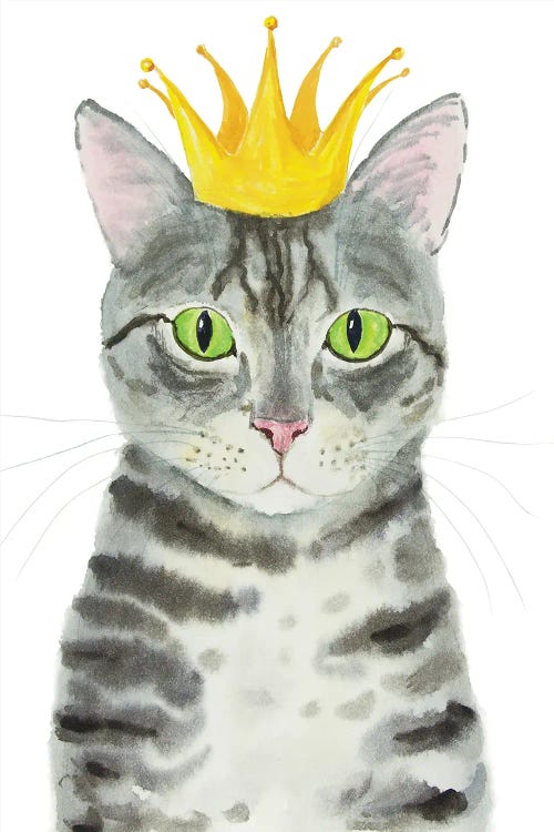 Crowned Gray Tabby Cat