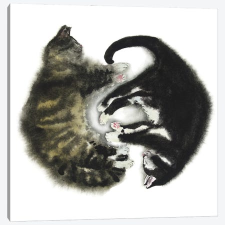 Tabby And Tuxedo Cat Canvas Print #AXS162} by Alexey Dmitrievich Shmyrov Canvas Art Print