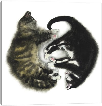 Tabby And Tuxedo Cat Canvas Art Print - Tuxedo Cat Art