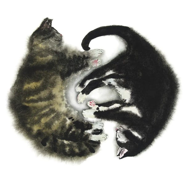 Tuxedo Cats: Tabby And Tuxedo Cat by Alexey Dmitrievich Shmyrov