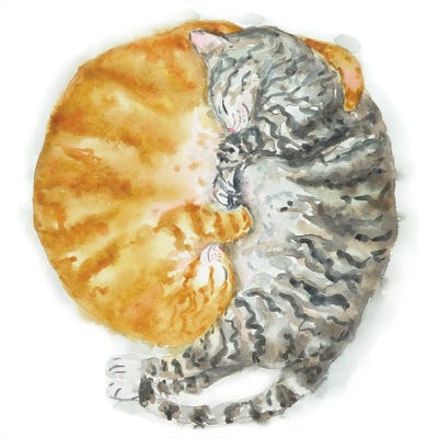 Orange And Tabby Cat by Alexey Dmitrievich Shmyrov framed canvas print