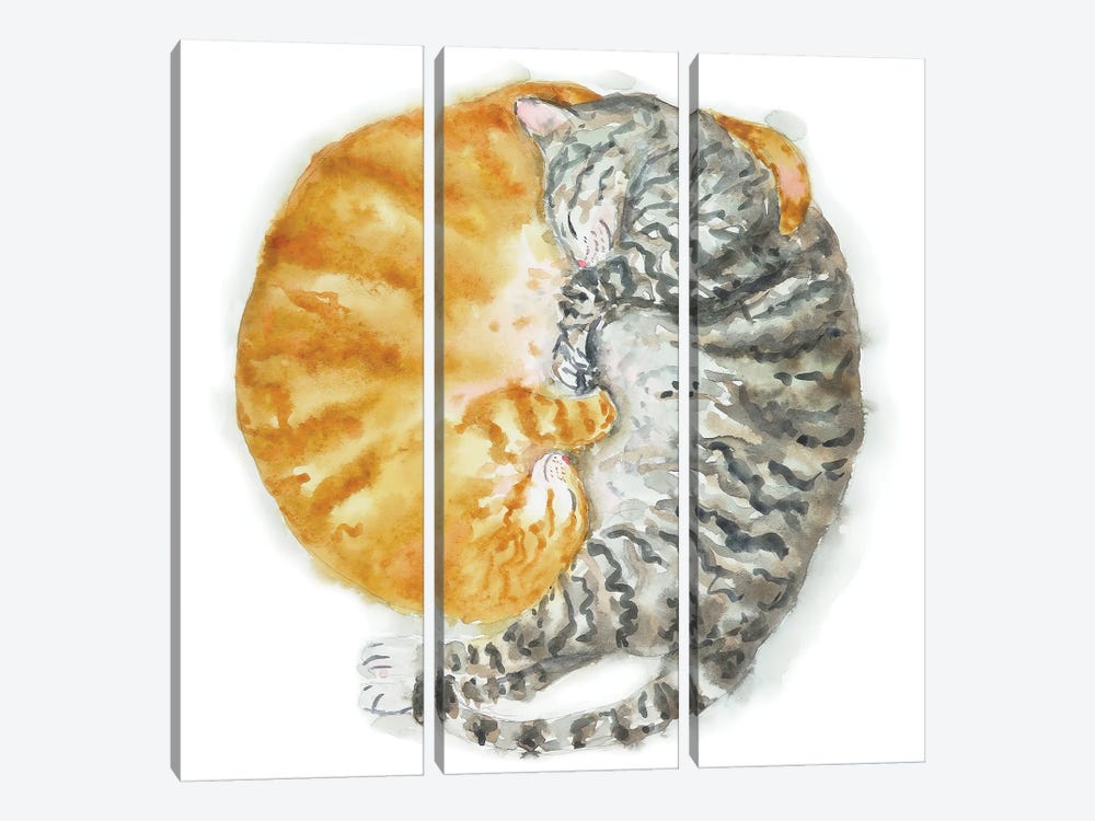 Orange And Tabby Cat by Alexey Dmitrievich Shmyrov 3-piece Canvas Art Print