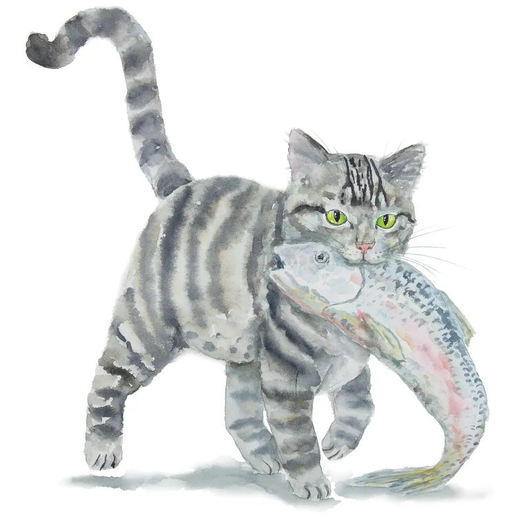 Gray Tabby Cat And Fish