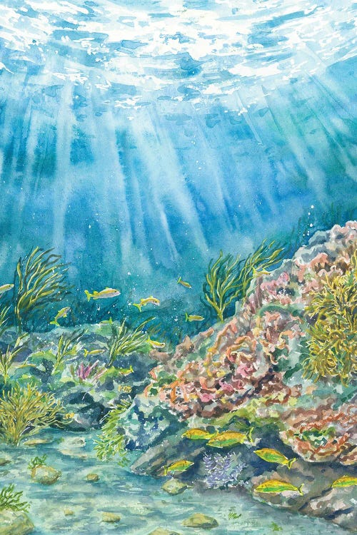 Biscayne National Park by Alexey Dmitrievich Shmyrov wall art