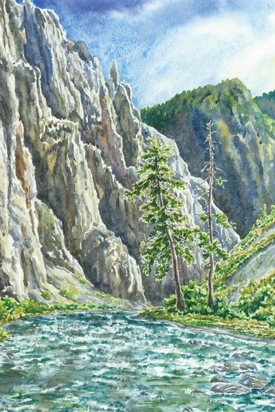 Canyons: Black Canyon National Park by Alexey Dmitrievich Shmyrov