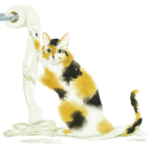 Calico Cats: Calico Cat And Toilet Paper by Alexey Dmitrievich Shmyrov