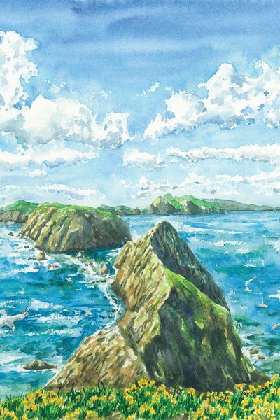 National Parks: Channel Islands National Park by Alexey Dmitrievich Shmyrov