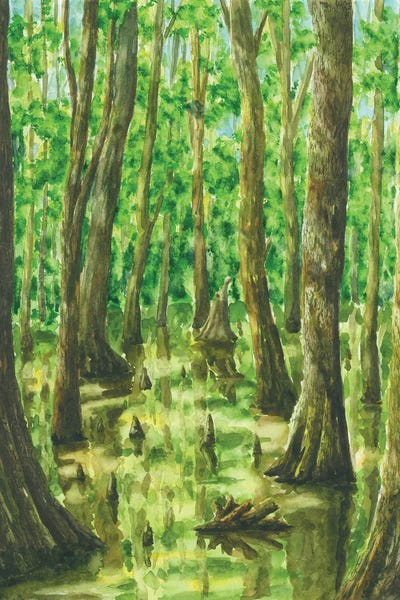 Congaree National Park