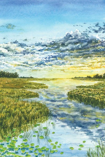 Everglades National Park: Everglades National Park by Alexey Dmitrievich Shmyrov