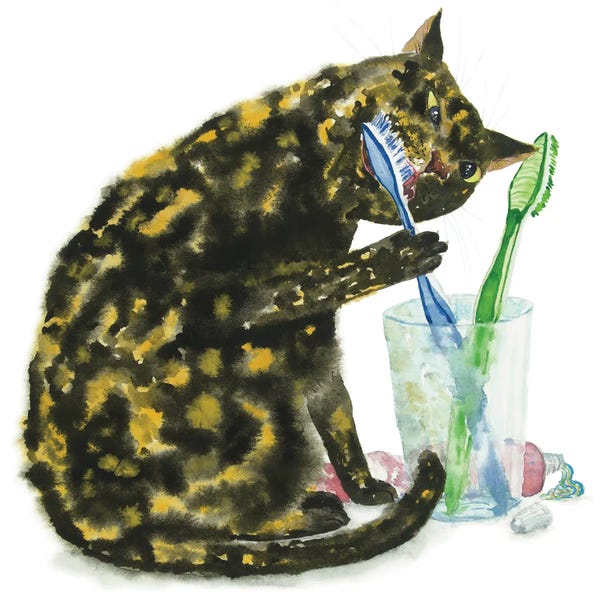 Cat Brushing Teeth