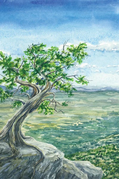 Great Basin National Park by Alexey Dmitrievich Shmyrov framed canvas print