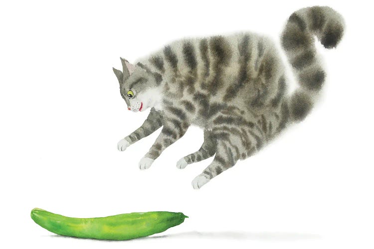 Сat Scared By A Cucumber