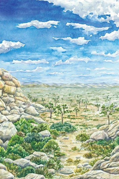 Joshua Tree National Park: Joshua Tree National Park by Alexey Dmitrievich Shmyrov