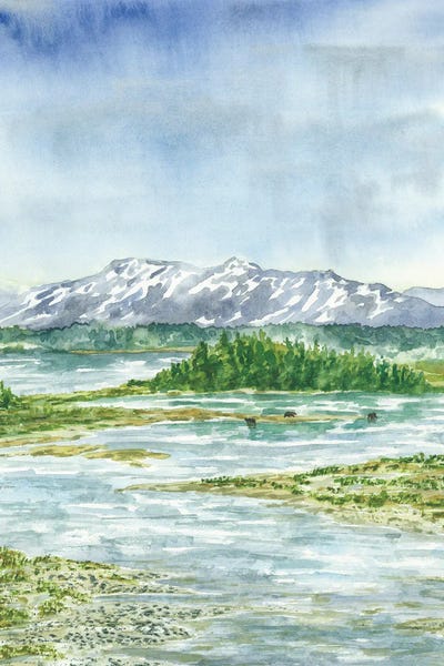 Katmai National Park: Katmai National Park by Alexey Dmitrievich Shmyrov