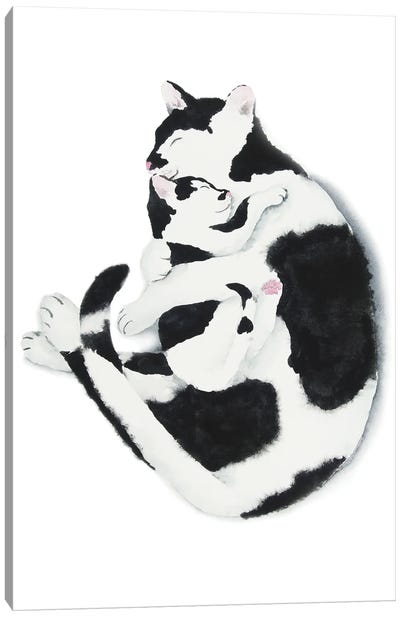 Cat Mom And Kitten Canvas Art Print - Snowshoe Cat Art