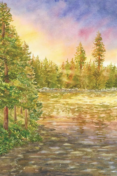 Redwood Trees: Redwood National Park by Alexey Dmitrievich Shmyrov