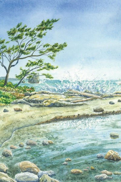 Rocky Beaches: Olympic National Park by Alexey Dmitrievich Shmyrov