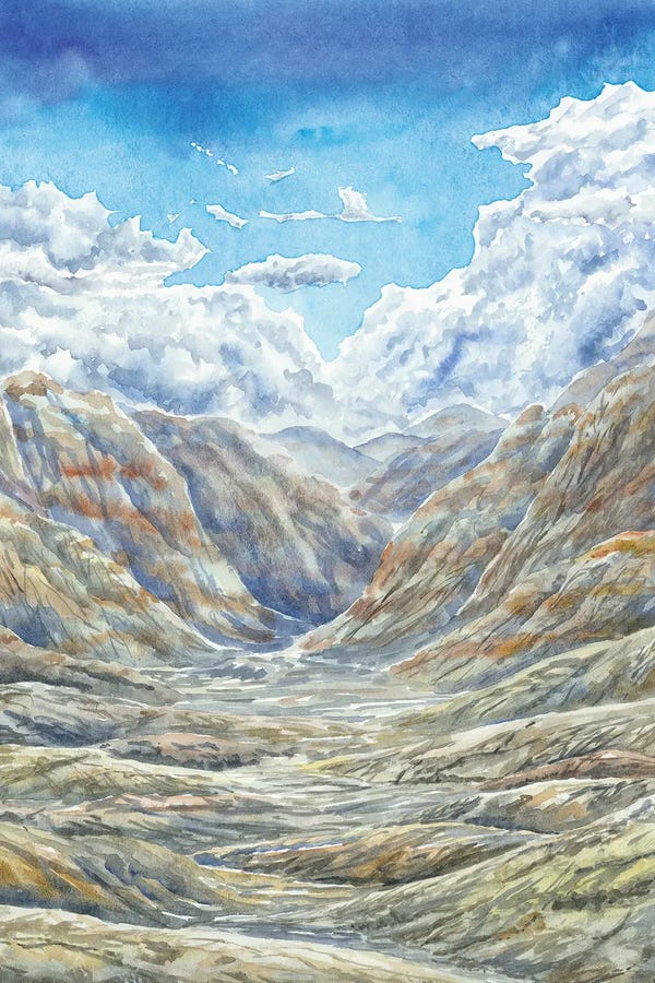 Petrified Forest National Park