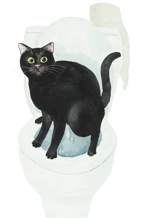 Black Cat On The Toilet