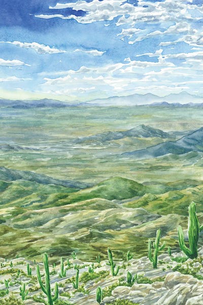 Saguaro National Park: Saguaro National Park by Alexey Dmitrievich Shmyrov