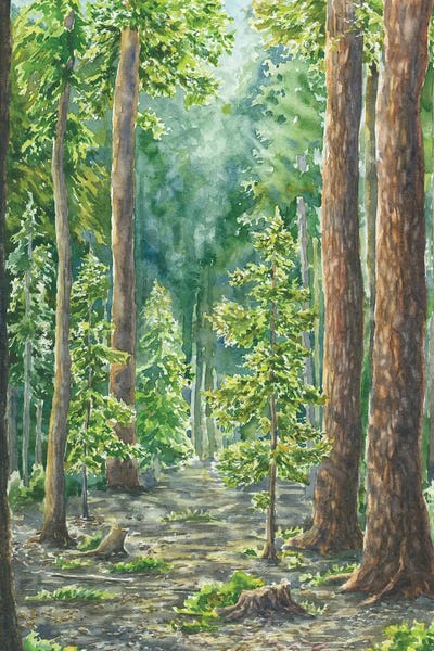 Sequoia National Park