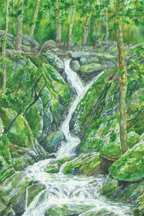 Shenandoah National Park