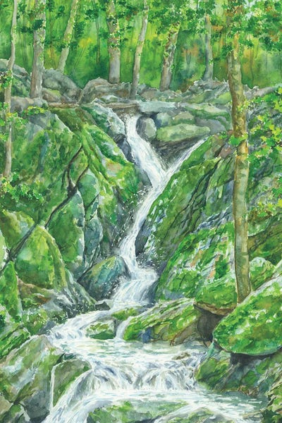 Shenandoah National Park