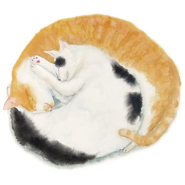 Tuxedo Cats: Two Sleeping Friends by Alexey Dmitrievich Shmyrov