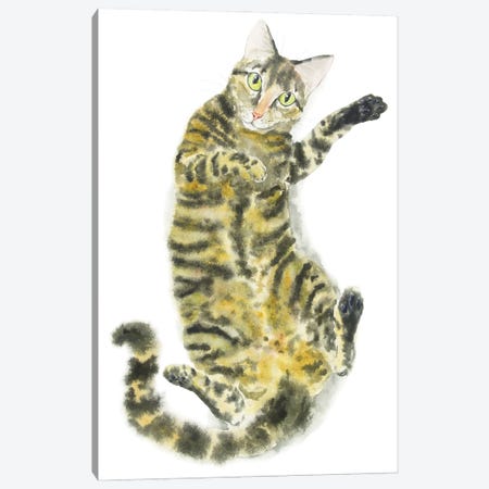 Cute Tabby Cat Canvas Print #AXS24} by Alexey Dmitrievich Shmyrov Art Print