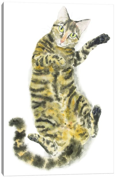 Cute Tabby Cat Canvas Art Print - Alexey Dmitrievich Shmyrov