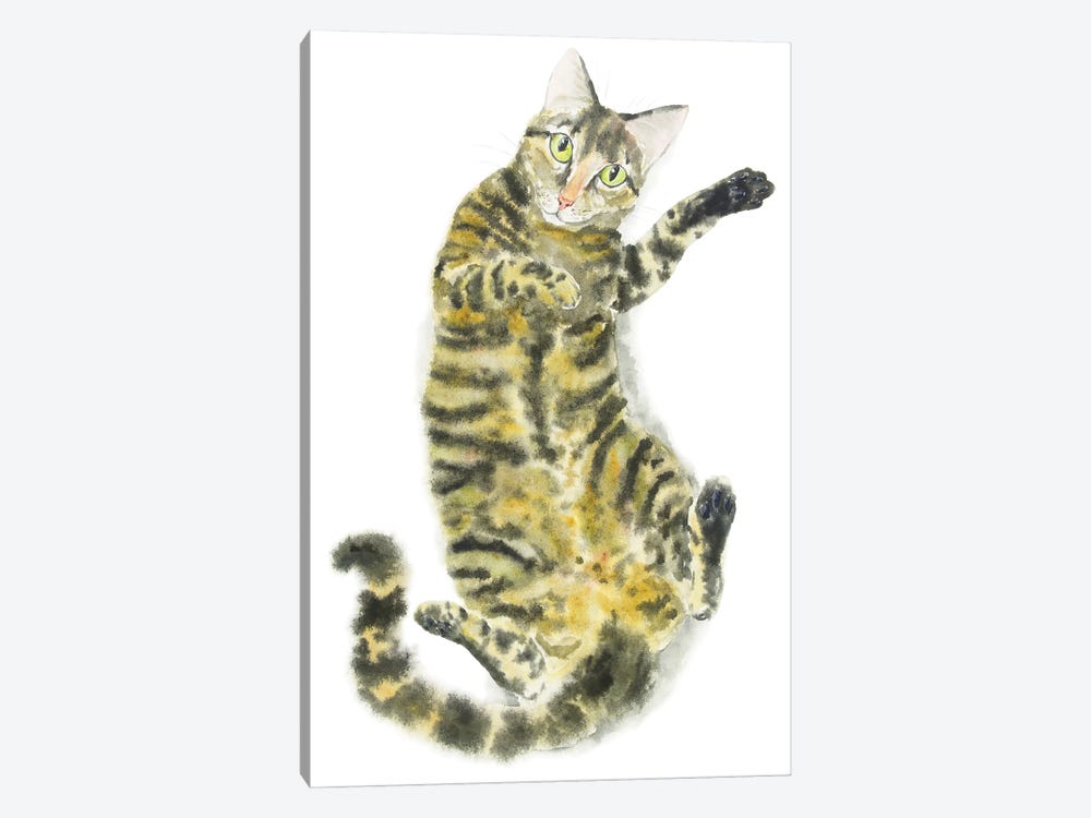 Cute Tabby Cat by Alexey Dmitrievich Shmyrov 1-piece Canvas Wall Art