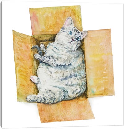 Fat Cat In The Box Canvas Art Print - Alexey Dmitrievich Shmyrov