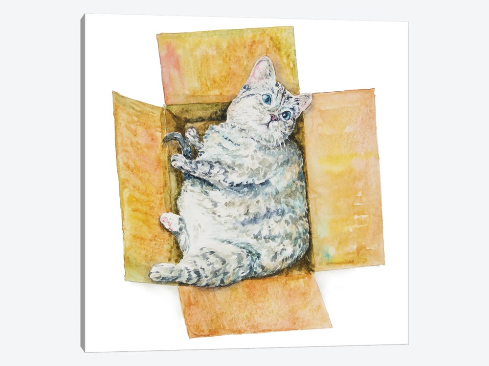 Fat Cat In The Box by Alexey Dmitrievich Shmyrov 1-piece Canvas Art Print