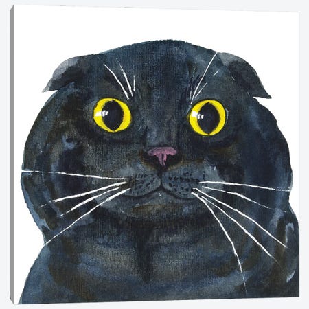 Fat Scottish Fold Black Cat Canvas Print #AXS26} by Alexey Dmitrievich Shmyrov Canvas Art Print