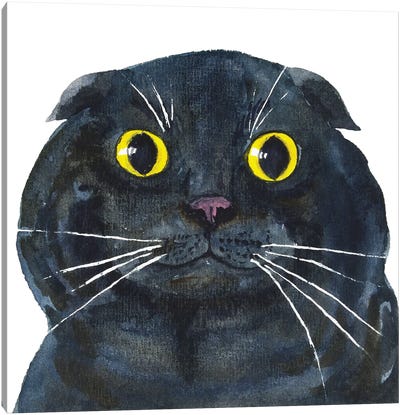 Fat Scottish Fold Black Cat Canvas Art Print - Alexey Dmitrievich Shmyrov