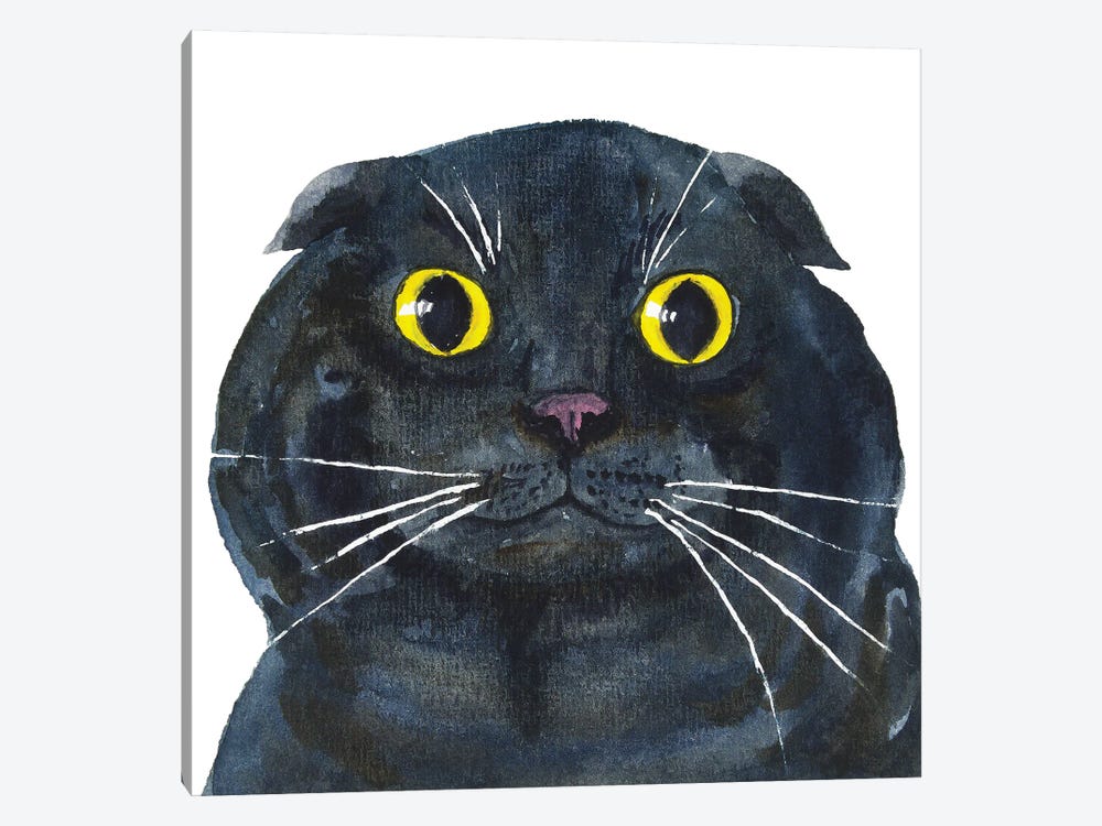 Fat Scottish Fold Black Cat by Alexey Dmitrievich Shmyrov 1-piece Canvas Art