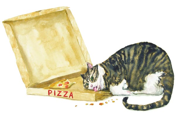 Fat Tabby Cat And Pizza