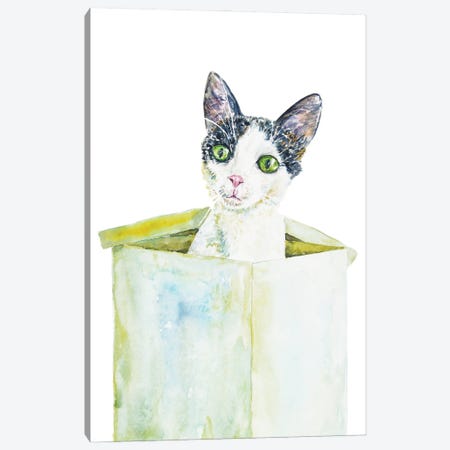 Funny Cat In The Box Canvas Print #AXS28} by Alexey Dmitrievich Shmyrov Canvas Art